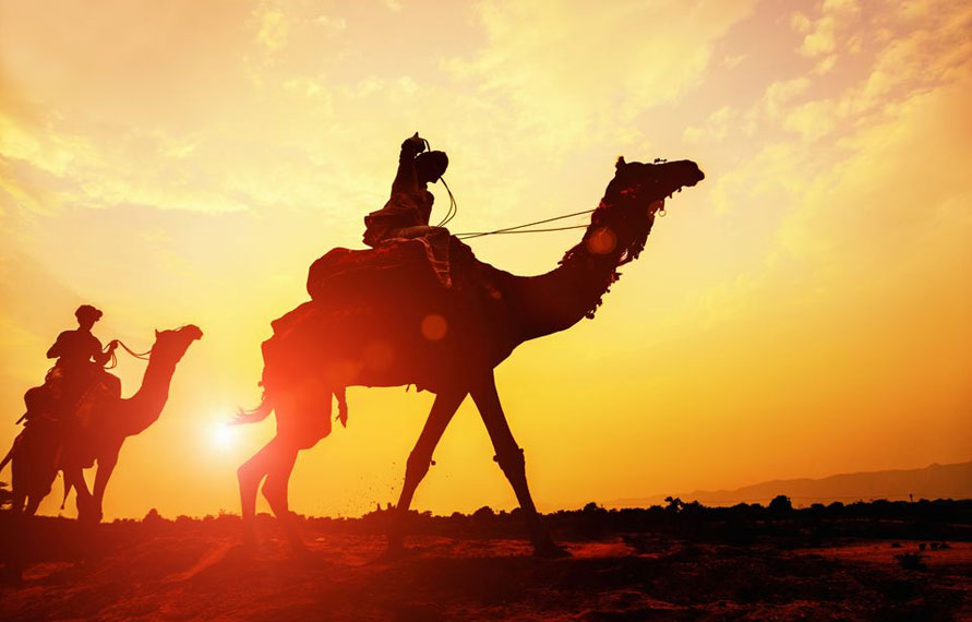 Grandeur Tour of Rajasthan