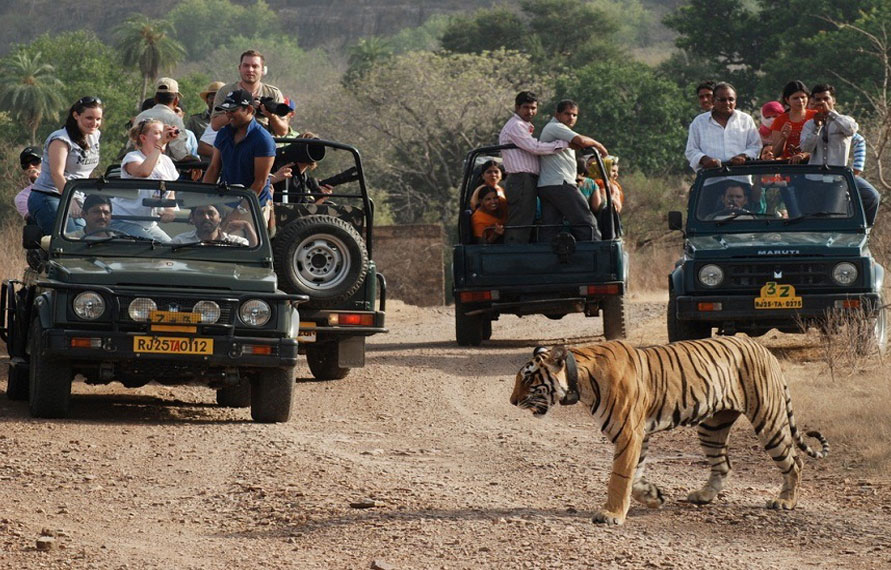 8 Days Golden Triangle Tour with Ranthambore