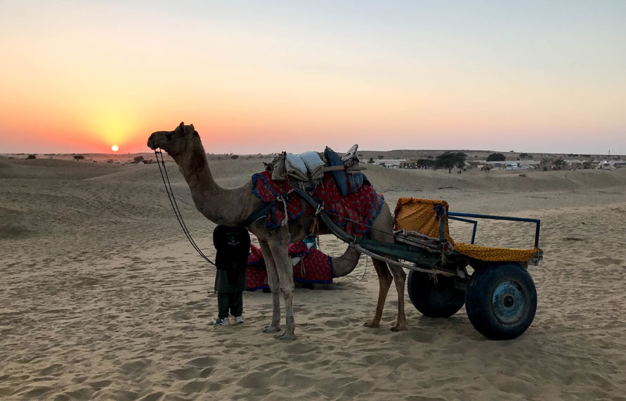 11 Days Luxury Tour Of Rajasthan
