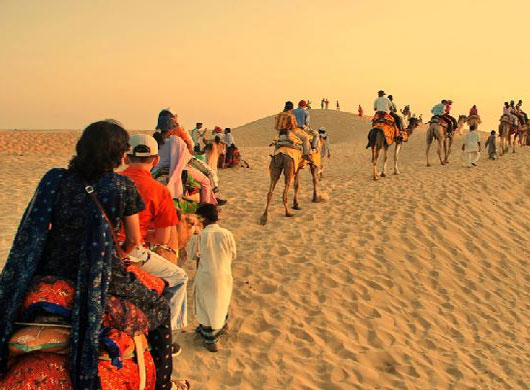 Dharma Camel Safari