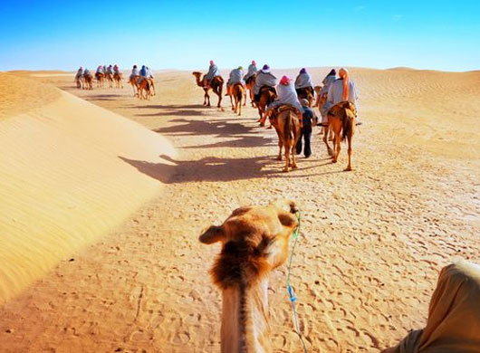 Bikaner Camel Safari