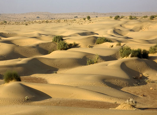 Sam Sand Dunes